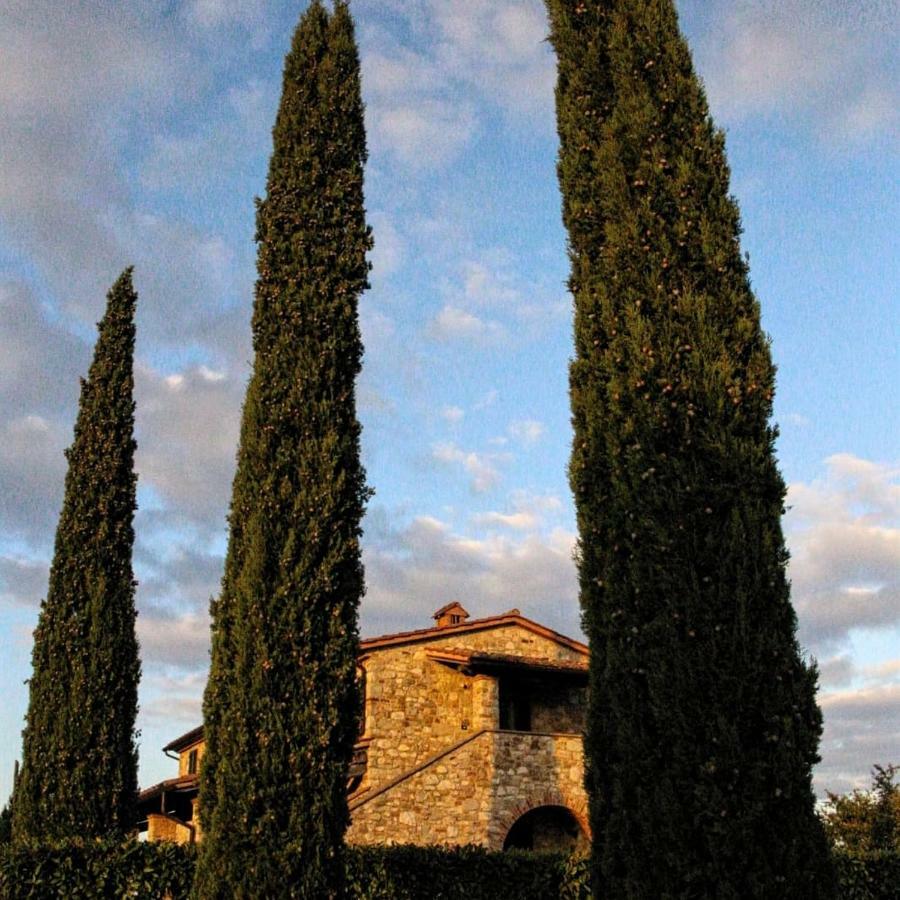 La Coccinella Apartment San Venanzo Exterior photo