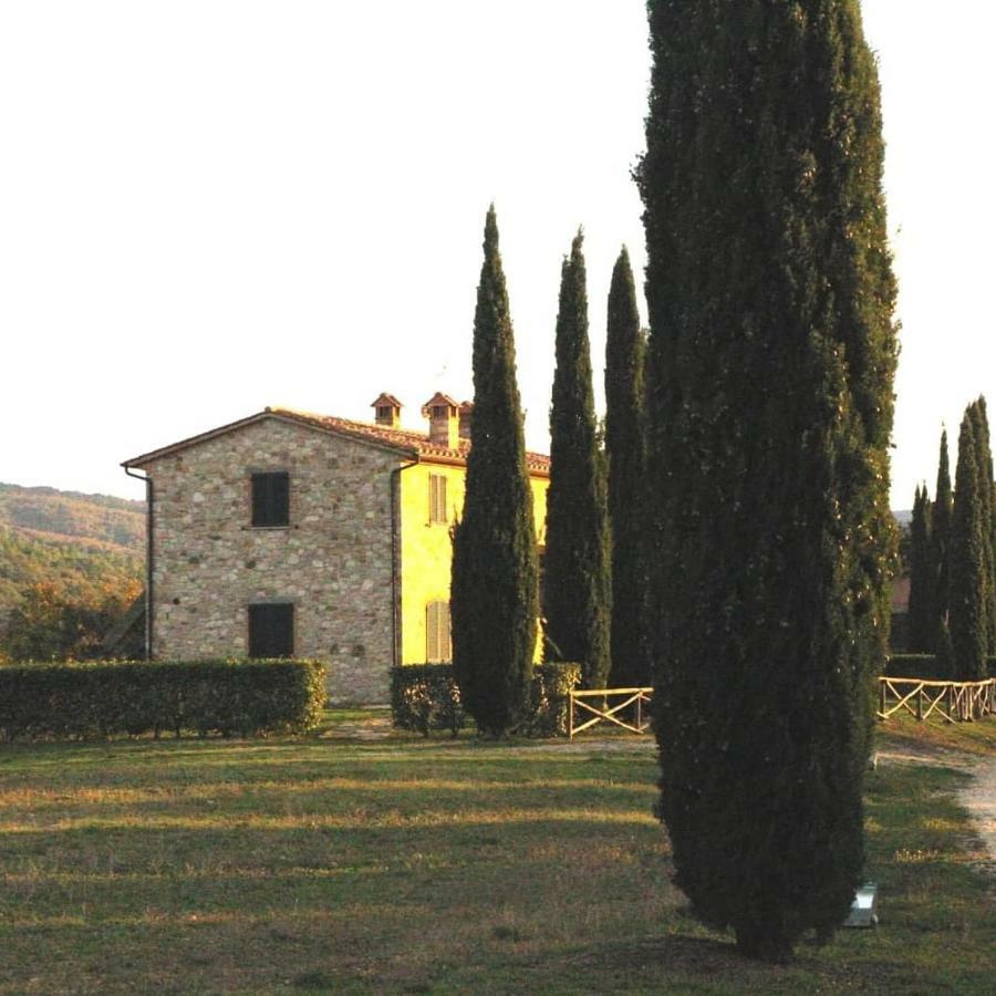 La Coccinella Apartment San Venanzo Exterior photo