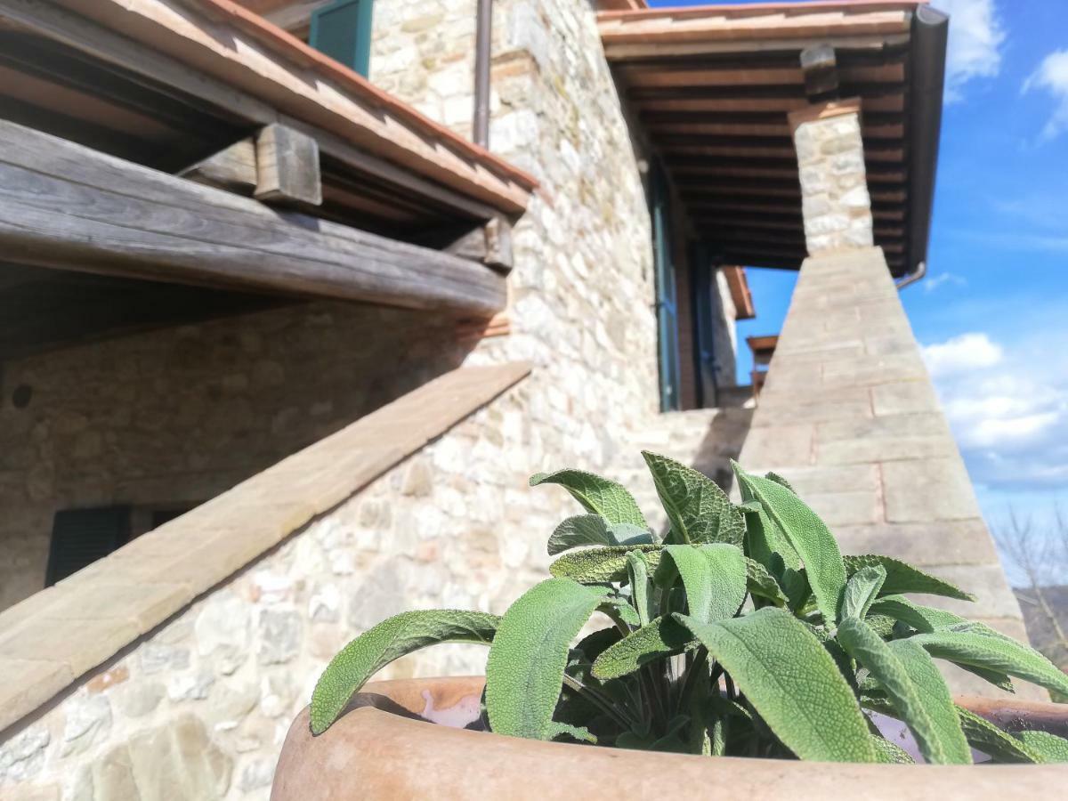 La Coccinella Apartment San Venanzo Exterior photo